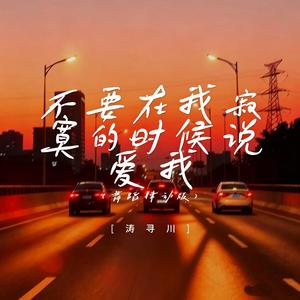 不要在我寂寞的时候说爱我 (舞蹈律动版)