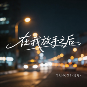 在我放手之后（伤感版）