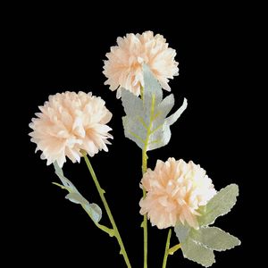 花未开但等春来