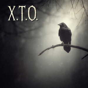 Ворон летить на сонце