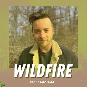 Wildfire