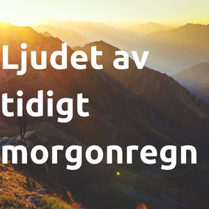 Tidigt morgon regn 4