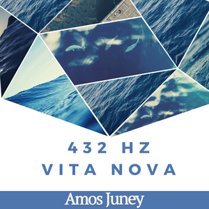 Vita Nova