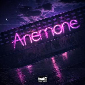 Anemone