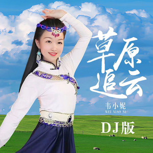 草原追云 (DJ彭锐版)