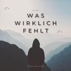Was Wirklich Fehlt