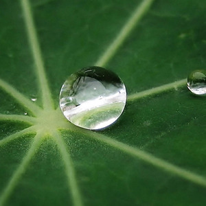雨上がりのワルツ
