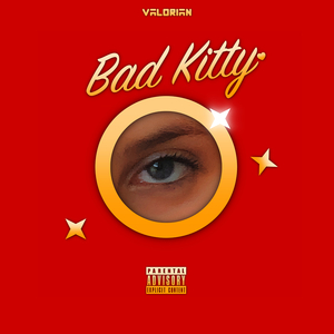 Bad Kitty