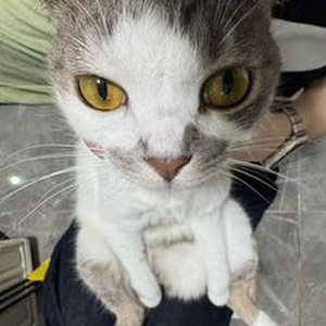 Hold Me By The Heart (nightcore)