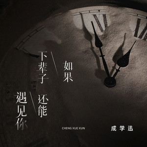 如果下辈子还能遇见你