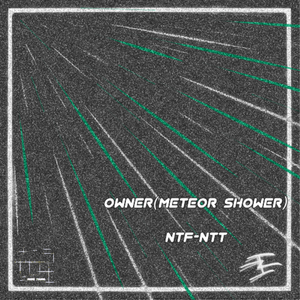 OWNER(METEOR SHOWER)