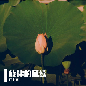 日大帅-Flashec（江上寒 remix）