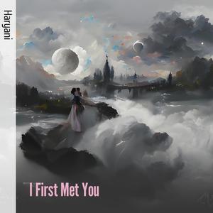 I First Met You