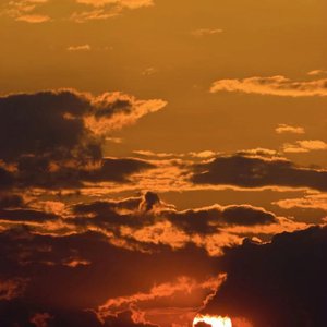 谁的生活不是鸡零狗碎