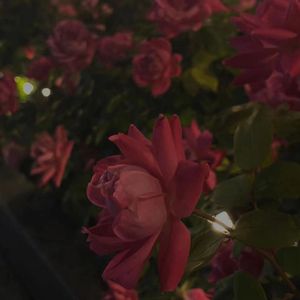 归海(prod.by Rick1y)