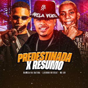 Predestinada X Resumo