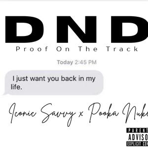 DND (feat. POOKA NUKE)