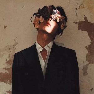 包房经典乐巢会