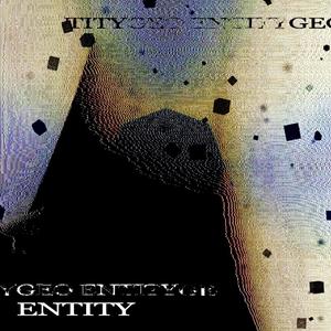 Entity