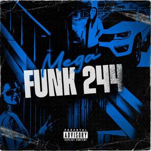 MEGA FUNK 244