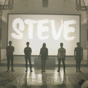 Steve (Demo)