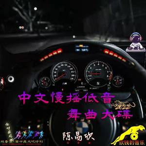 前度- (舞曲慢摇舒适版)