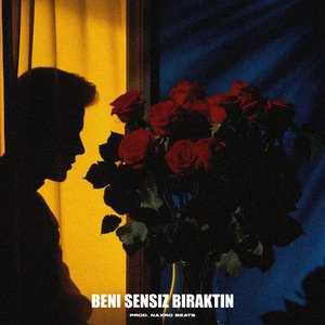 Beni Sensiz Bıraktın