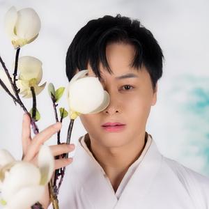 我在春天等你