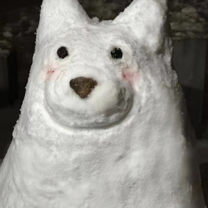 小李-巡游音乐.mp3（小李 remix）