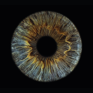 Ты выглядишь