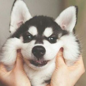 追光者 (Piano Version Instrumental) [Cover 岑宁儿]