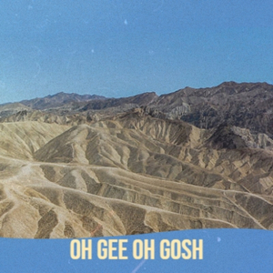 How Much Is That Doggy In The Window