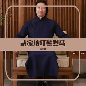 武家坡红鬃烈马