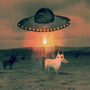 降落伞（cover po8）