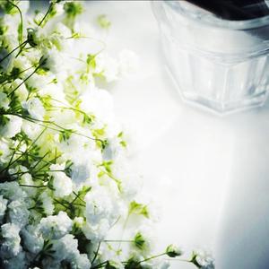 满天星送给你（吉他指弹）