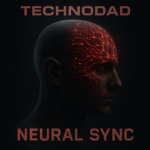 Neural Sync