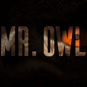 Mr. Owl