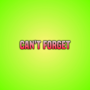 Can't Forget