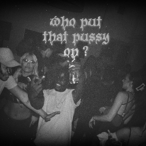 Who Put That Pu$$y On ?