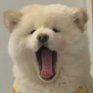 一首情歌cover周英俊