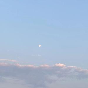 多想留在你身边（翻自 沈以泽）