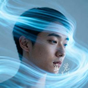 直觉 (Cover 赵方婧)