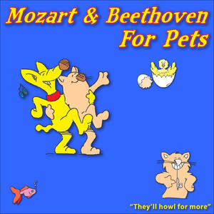 K331 Mvt. 1 Sonata Rondo Alla Turka