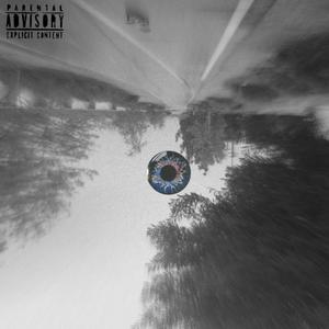 28 Flows (El Proceso)