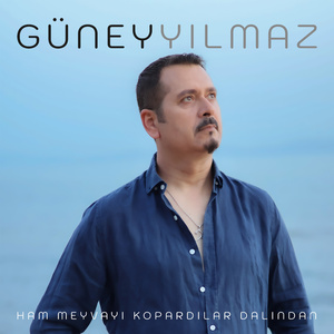 Ham Meyvayı Kopardılar Dalından