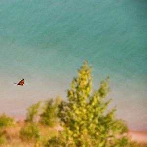 TMS (Transcranial Magnetic Stimulation)