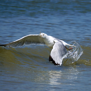 未来へジャンプ