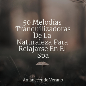 Encantadores Ecos de Hielo