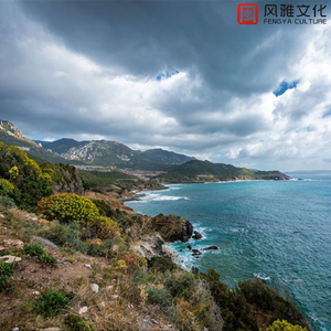 胎教孕中期（启蒙音乐）-钢琴曲