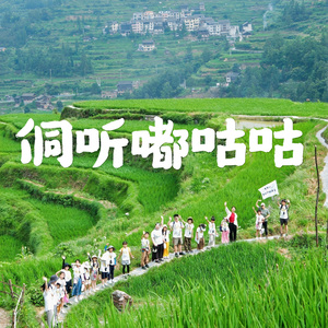 侗听嘟咕咕